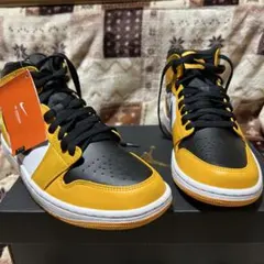 Nike Air Jordan 1 Mid 
