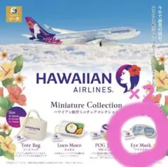 ハワイアン航空　HAWAIIAN AIRLINES お皿　２枚　希少　ハワイ ハワイアン航空 HAWAIIAN AIRLINES お皿 2枚 希少 ハワイ