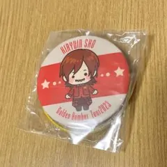 【新品未開封】ゴールデンボンバー 金爆 鬼龍院翔 樽美酒研二 缶バッジ2点セット