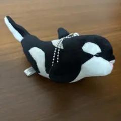 2025年最新】名古屋港水族館 シャチ ぬいぐるみの人気アイテム - メルカリ