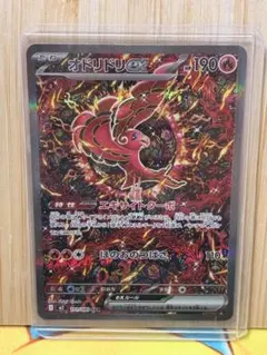 【美品】オドリドリSAR 2025年最新】オドリドリの人気アイテム - メルカリ