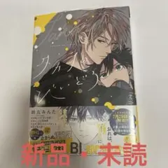 タカラのびいどろ 初回生産限定版 タカラのびいどろDVD 初回生産限定 ドラマ「タカラのびいどろ