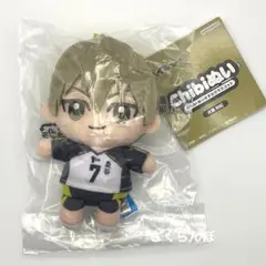 2026年最新】ハイキュー 木葉の人気アイテム - メルカリ