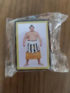 Item thumbnail for item bd0744f1-fa40-4d3f-adfb-67f54ee6ce60