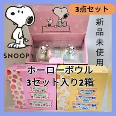 ❤スヌーピー❤ オーロラグラス 2P ホーロー 保存容器 ボウル 2種