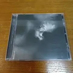 HOLDING ABSENCE／HOLDING ABSENCE
