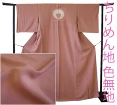 2025年最新】下り藤 色無地の人気アイテム - メルカリ