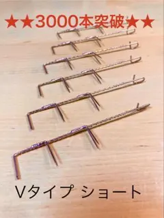 Item thumbnail for item df46ab40-254d-494e-8d43-c977a4b7028b