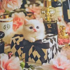 ⑨未使用　可愛い猫ちゃんパネル生地6枚です。