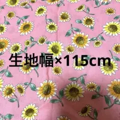 Item thumbnail for item ff2a28e9-62ec-4bed-aafe-13b8309947b3