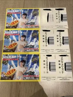 ナガシマスパーランド ジャンボ海水プール招待券 3枚セット - メルカリ
