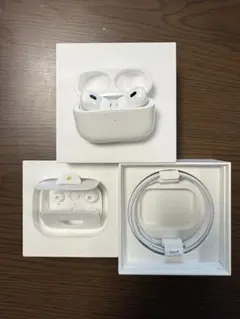 AirPods Pro 2 (Lightning)本体