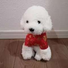 犬ぬいぐるみ　トイプードル　ビションフリーゼ　白　 赤いチャイニーズ服　福字