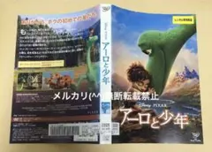 DVD ディズニー　アーロと少年