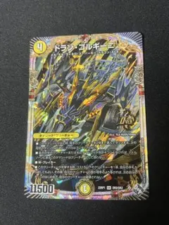 ドラン・ゴルギーニ