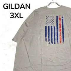 【一点物】GILDAN Tシャツ 3XL グレー 星条旗 アメリカ ビッグサイズのサムネイル