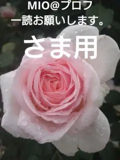 MIO@プロフ一読お願いします。　さま用です