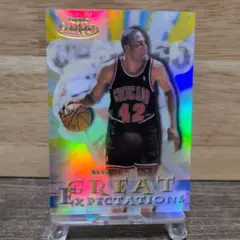 Great Expectations Elton Brand