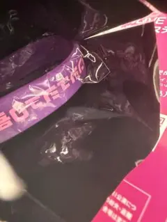 ゾンビランドサガ ゆめぎんがパラダイス 特典 リストバンド 0号　山田たえ