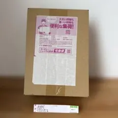 【希少】ポケモンカードMEGAドリームEX ポケモンセンター購入ダンボール未開封