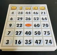 （ハナヤマ）ビンゴカード 30枚セット