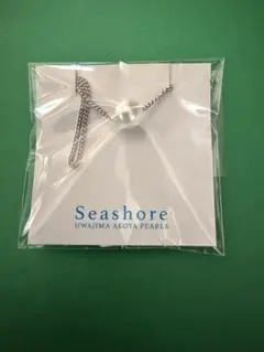 Item thumbnail for item 52e2f3ec-5f89-49f3-97fa-5e282ea3b5c8