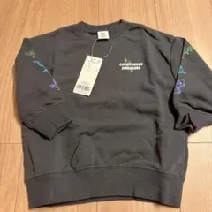 Item thumbnail for item ef88ea19-8047-45d2-a1a4-b994ead375cd