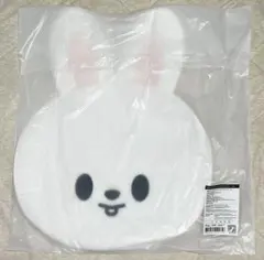 【新品未開封】StrayKids スキズ リノ リービット うちわカバー