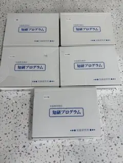 ごん様知研プログラム 6，7，8，9，10，11，12，13 知研プログラム 2-3期, 4-5期, 6-7期, 8-9期,4箱セット - メルカリ
