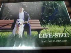 2026年最新】小田和正 life-size 2023の人気アイテム - メルカリ