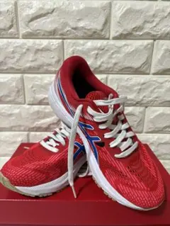 アシックスGT-2000 8 RETRO TOKYO MODEL24.5cm