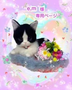 羊毛フェルト。猫。オーダーNo.84