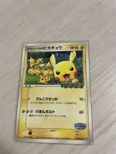 ポケパークのピカチュウ PROMO PCG-Pプロモカード 043/PCG-P