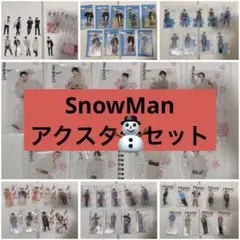 SnowMan アクスタ 9人 セット 全員　写真のもの