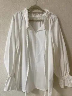 Item thumbnail for item bd60a43c-e341-432f-b087-4baa70e6c6ac