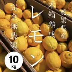 ann　愛媛　完全無農薬　最高級　レモン　15キロ 愛媛 完全無農薬 最高級 レモン10キロ - メルカリ