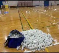 ❁⃘おかめインコ❁⃘様 リクエスト 2点 まとめ商品