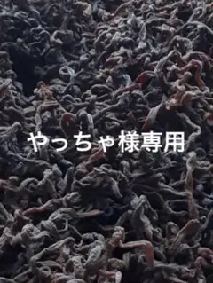 やっちゃ様専用