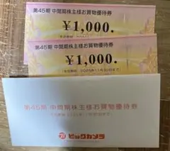 ビッグカメラお買物優待券