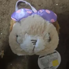 Item thumbnail for item fc34a84e-7614-4c26-9760-a1eec3a4de17