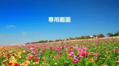 ゆう❀断捨離中様専用画面です•*¨*•.¸¸☆*・゜