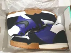 NIKE SB × POLAR AIR TRAINER 1