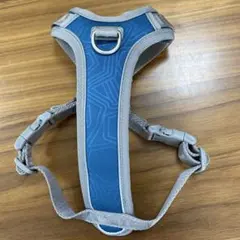 Item thumbnail for item 38b1b5bf-483c-4573-980b-a57be029daa5