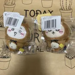 たぬきだもんくじ2点セット