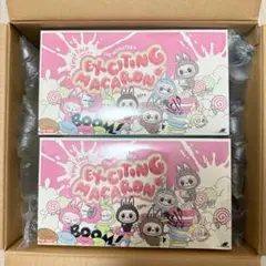 正規品・未開封 Labubu マカロン.enery2箱 正規品・未開封 Labubu マカロン.enery2箱