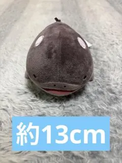 ポケモン ドオー　ぬいぐるみ　ポケットモンスター