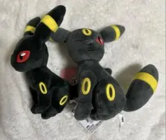 포켓몬 블래키 ぬいぐるみ
