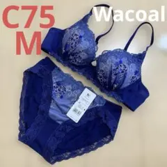 新品 Wacoal ワコール ネイビー刺繍ブラジャーショーツセット C75 M