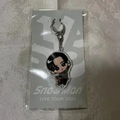 すのチルぶら下がりシリーズ（アクリルキーホルダーver.） 目黒蓮