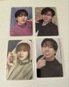 DO IT KARMA FANS トレカ チャンビンセット アコーディオン